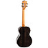 Iris Tinta Tenor Transparent Black + Housse Flight
