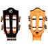 Iris Tinta Tenor Transparent Black + Housse Flight