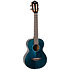 Iris Tinta Tenor Transparent Blue + Housse Flight