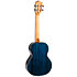 Iris Tinta Tenor Transparent Blue + Housse Flight