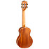 Iris Concert Calantas + Housse Flight