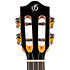 Iris Concert Black + Housse Flight