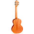 Iris Tenor Black + Housse Flight