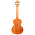 Iris Baritone Black + Housse Flight