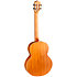 Iris Baritone Black + Housse Flight