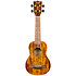 DUS445 Supernatural Glossy Acacia + Housse Flight