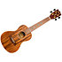 DUC440 Supernatural Acacia + Housse Flight