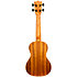 DUC440 Supernatural Acacia + Housse Flight