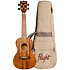 DUC440 Supernatural Acacia + Housse Flight