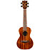 DUC445 Supernatural Glossy Acacia + Housse Flight