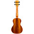 DUC445 Supernatural Glossy Acacia + Housse Flight