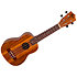NUS200 Teak Soprano + Housse Flight