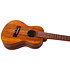 NUS200 Teak Soprano + Housse Flight