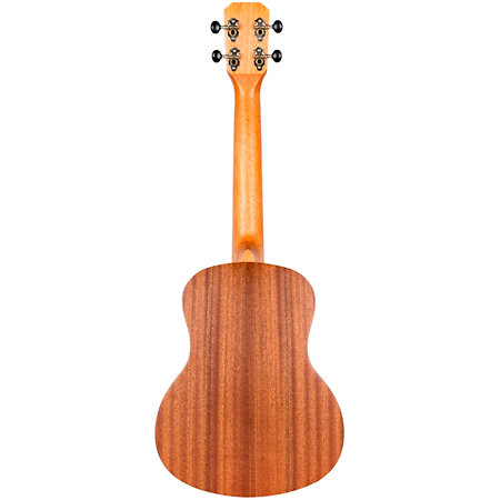 NUT310 Tenor + Housse Flight