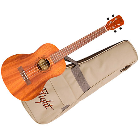 Flight NUB310 Baritone + Housse
