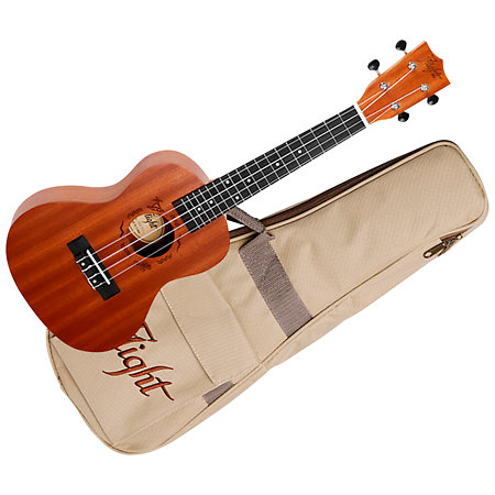 Flight NUC310 Concert Pack