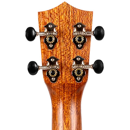 NUC200 Teak Concert + Housse Flight