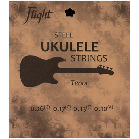 Flight FRST200 Tenor Steel 010-026