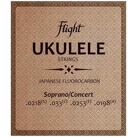Flight FUSSC-100