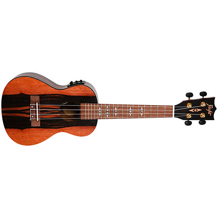 DUC460 Electro-Acoustic Amara + Housse Flight