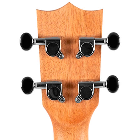 DUC525 EQ Zebrano + Housse Flight