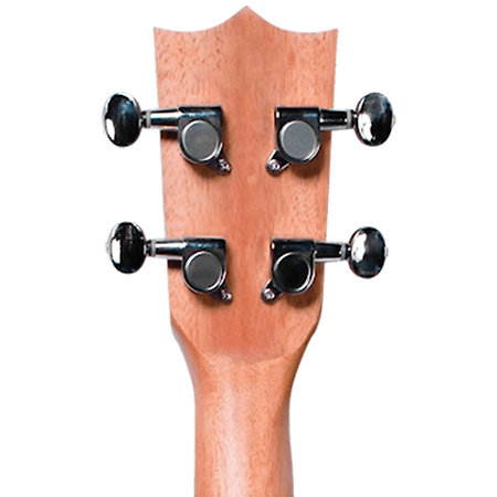 DUC325 Zebrano + Housse Flight
