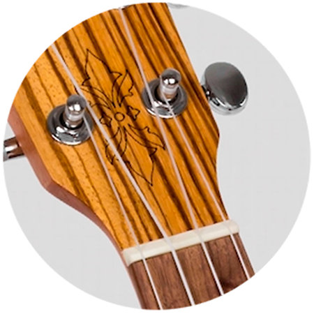 Flight DUS320CEQ Zebrawood + Housse