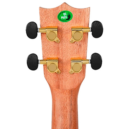 DUC410 Quilted Ash Concert + Housse Flight