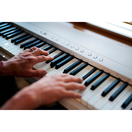 FP-40 Blanc Roland