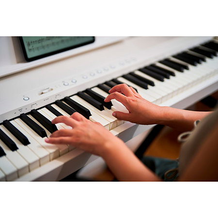 FP-40 Blanc Roland
