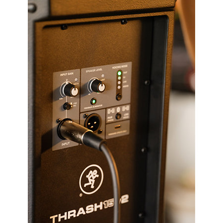 Thrash 15 V2 Mackie