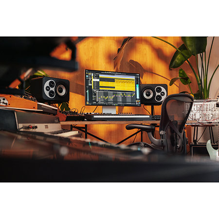 Cubase Pro 15 Upgrade AI (licence) Steinberg Download