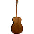 00-18 Joe Bonamassa Martin Guitars