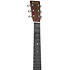 00-18 Joe Bonamassa Martin Guitars