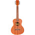 NUT310 Tenor + Housse Flight
