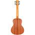 NUT310 Tenor + Housse Flight