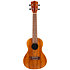 NUC200 Teak Concert + Housse Flight