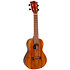 NUC200 Teak Concert + Housse Flight