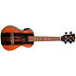 DUC460 Electro-Acoustic Amara + Housse Flight