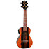 DUC460 Electro-Acoustic Amara + Housse Flight