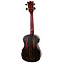 DUC460 Electro-Acoustic Amara + Housse Flight
