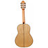 Torres Spruce 1/2 RN + Housse Martinez
