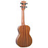 DUC323 Mahogany Concert + Housse Flight