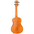DUC323Q Electro-Acoustic Mahogany + Housse Flight