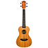 DUC373 Mahogany Concert + Housse Flight