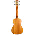 DUC373 Mahogany Concert + Housse Flight