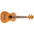 DUC523EQ Electro-Acoustic Mahogany + Housse Flight