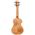 DUC523EQ Electro-Acoustic Mahogany + Housse Flight