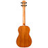 DUB38 EQ-A Baritone + Housse Flight