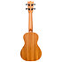 DUC525 Zebrano + Housse Flight
